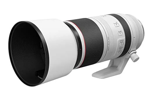 Canon RF 100-500mm f/4.5-7.1 L IS USM Lens