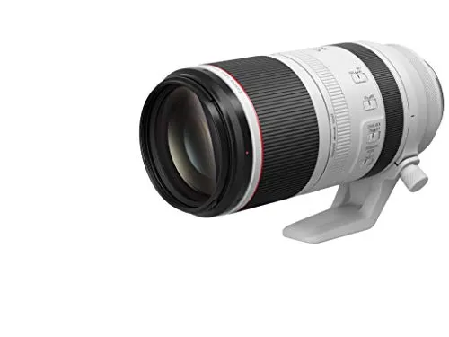 Canon RF 100-500mm f/4.5-7.1 L IS USM Lens