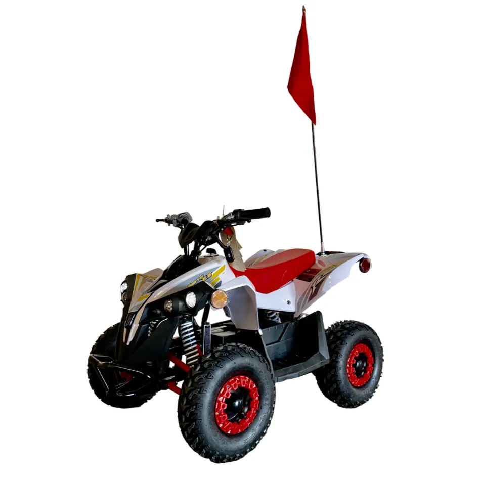 Mototec E-Bully Electric ATV | 1000W | 36V | Kids Battery 4-Wheeler