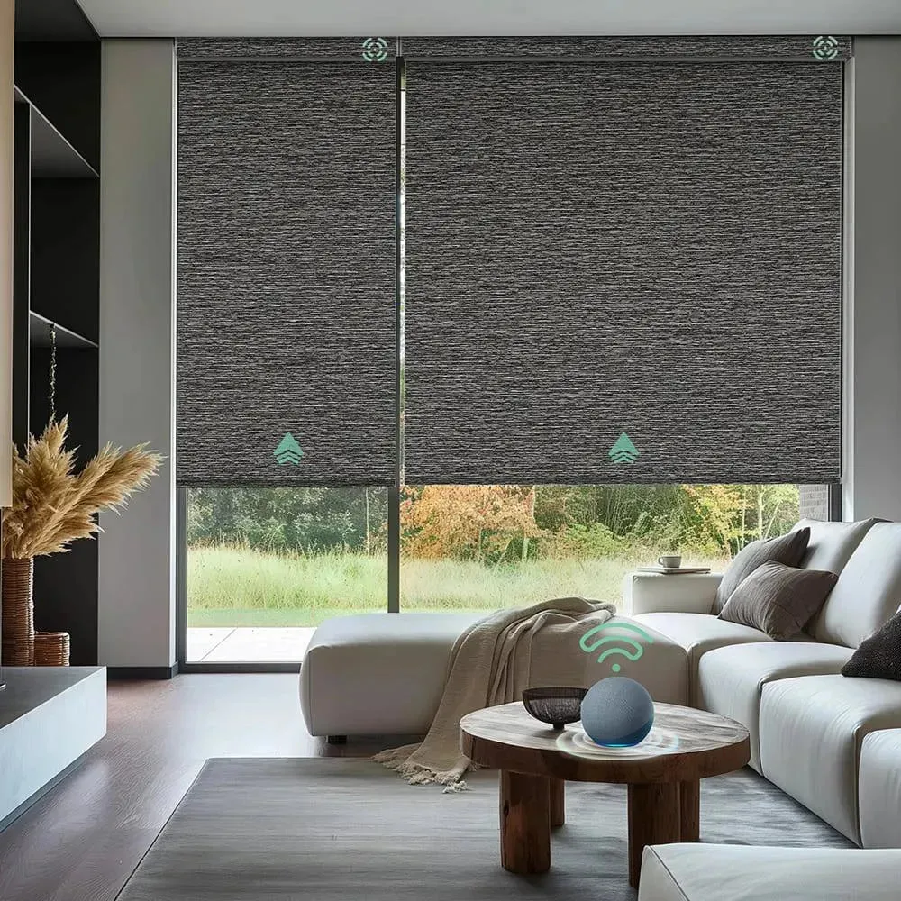 Yoolax Motorized Roller Shades 100% Blackout V-Series