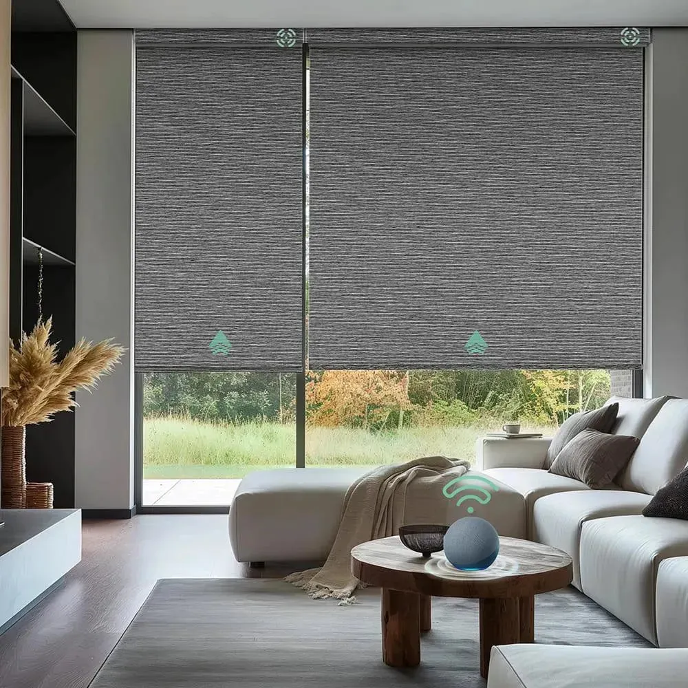 Yoolax Motorized Roller Shades 100% Blackout V-Series